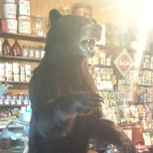 Meet your Posher, Eugene